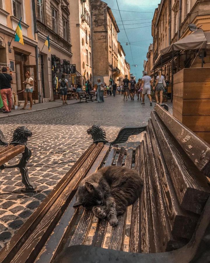 Cozy & New Furnished Flat In Old Town Of Lviv Leilighet Eksteriør bilde